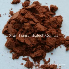 Cacumen Platycladi Extract / Cacumen Platycladi Orientalis P. E